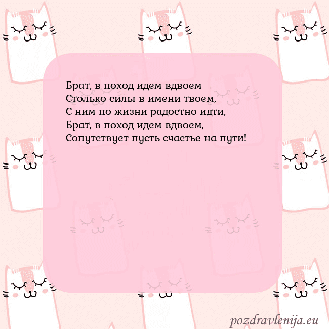 Розовая открытка с забавными кошками