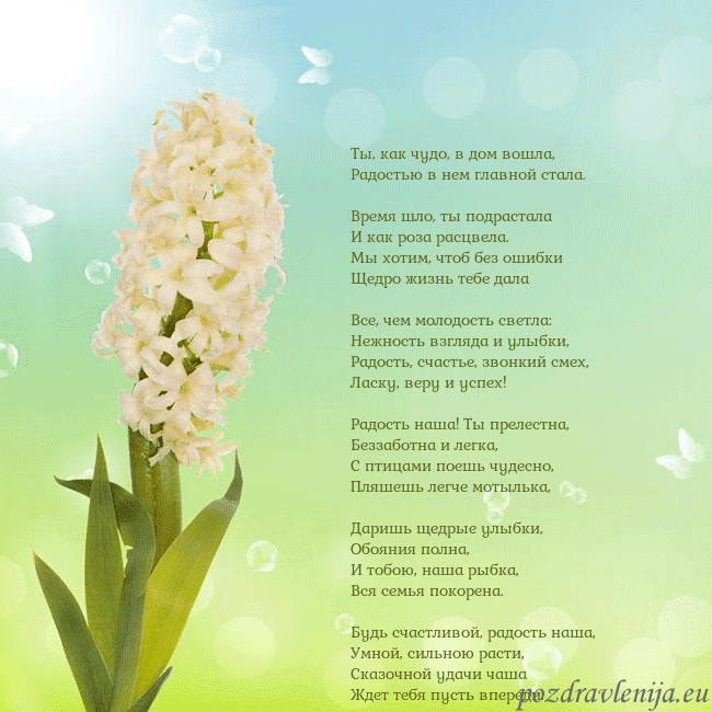 Открытка с гиацинтом Ты, как чудо, в дом вошла,
Радостью в нем главной Открытка с гиацинтом