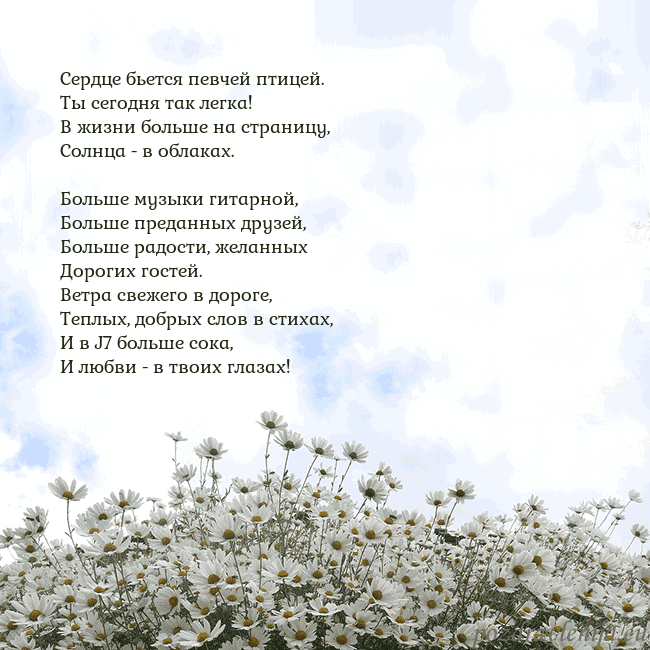 Открытка с ромашками