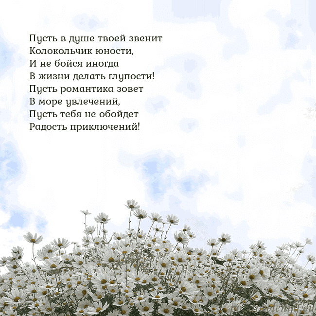 Открытка с ромашками