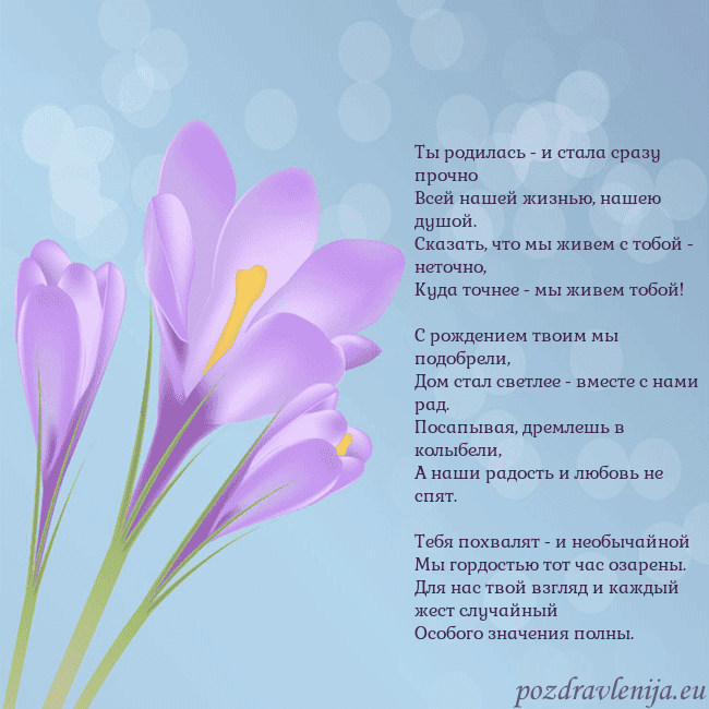 Открытка с крокусом