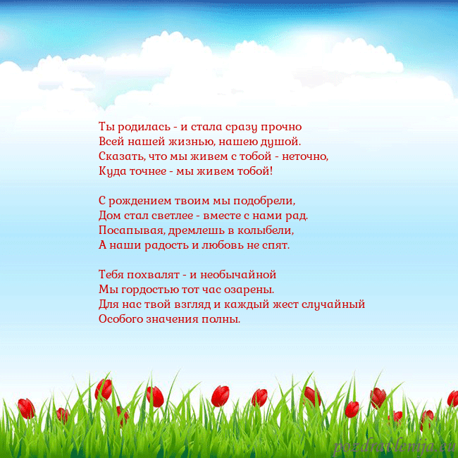 Открытка с тюльпанами