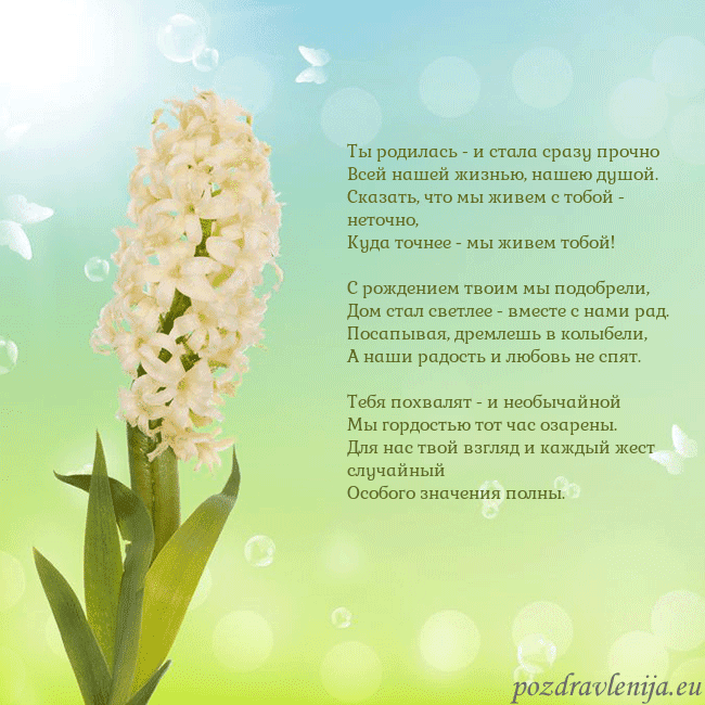 Открытка с гиацинтом