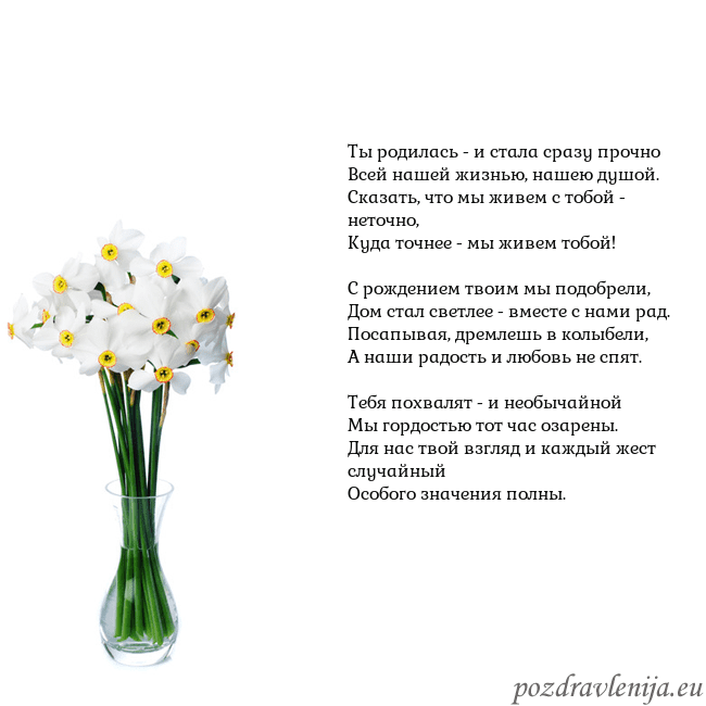 Открытка с нарциссами