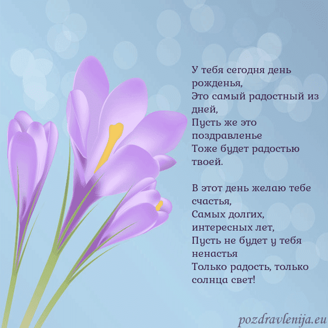 Открытка с крокусом