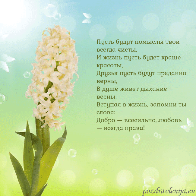 Открытка с гиацинтом