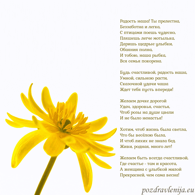 Открытка с желтым цветком Радость наша! Ты прелестна,
Беззаботна и легка,
С Открытка с желтым цветком