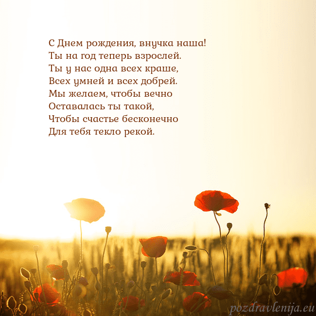 Электронная открытка с полем маков