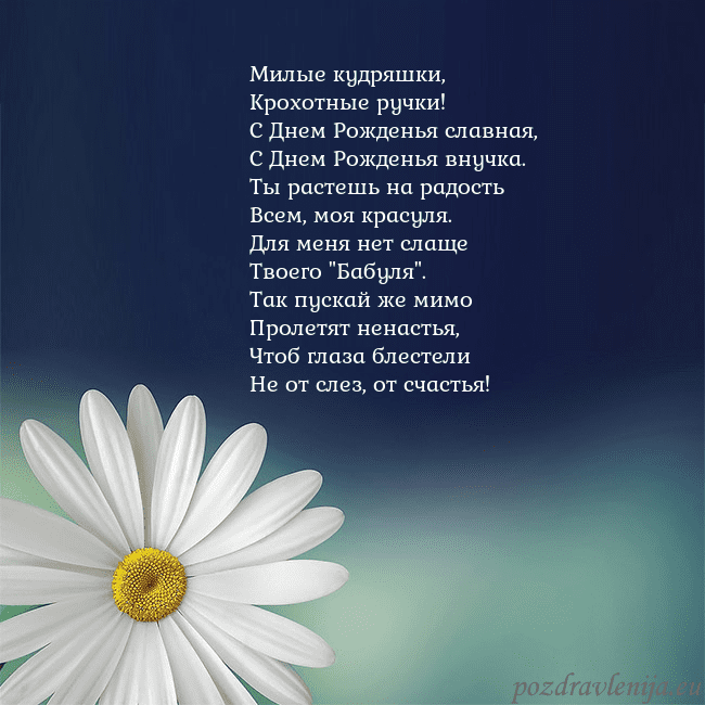 Открытка с большой ромашкой