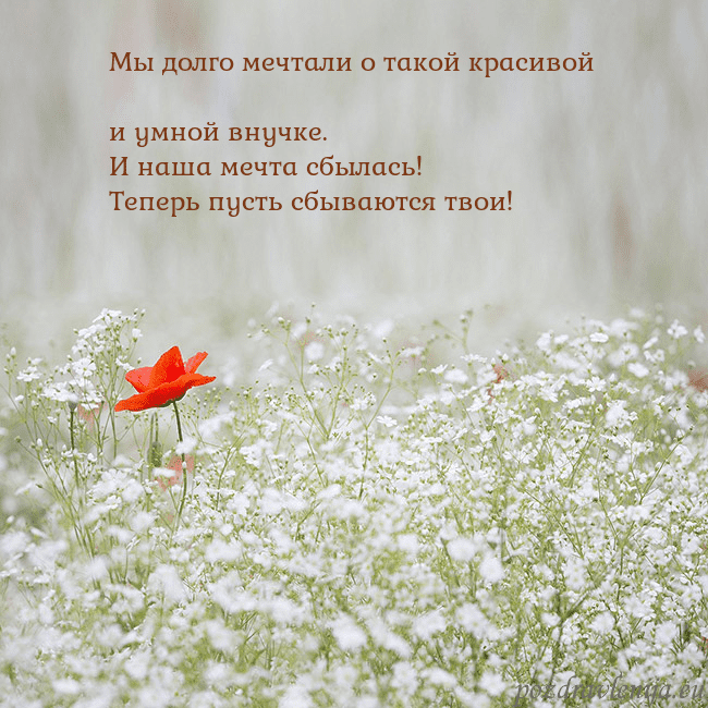 Электронная открытка с белыми цветами