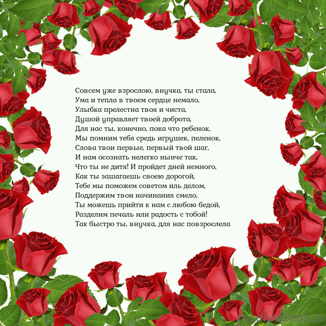 Открытка с красными розами Совсем уже взрослою, внучка, ты стала,
Ума и тепла Открытка с красными розами