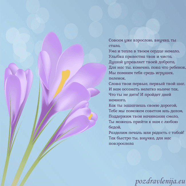 Открытка с крокусом Совсем уже взрослою, внучка, ты стала,
Ума и тепла Открытка с крокусом