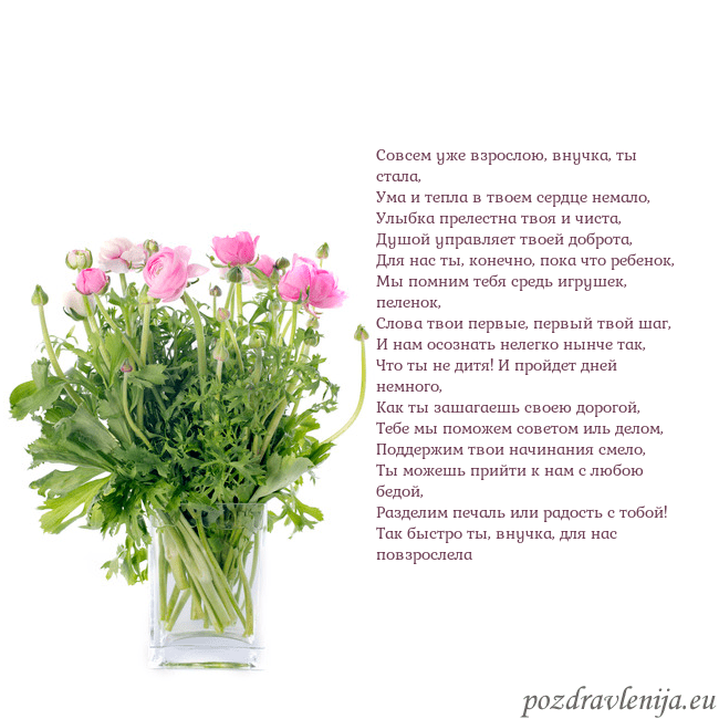 Открытка с цветами в вазе Совсем уже взрослою, внучка, ты стала,
Ума и тепла Открытка с цветами в вазе