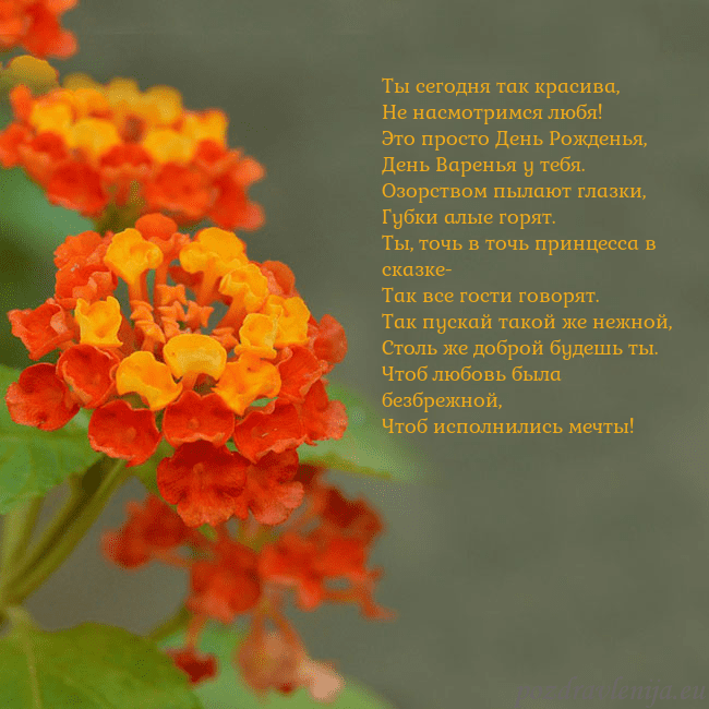 Открытка с оранжевыми цветами