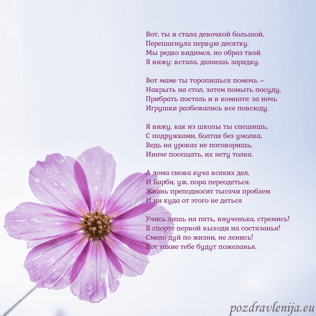 Электронная открытка с фиолетовым цветком Вот, ты и стала девочкой большой,
Перешагнула пер Электронная открытка с фиолетовым цветком