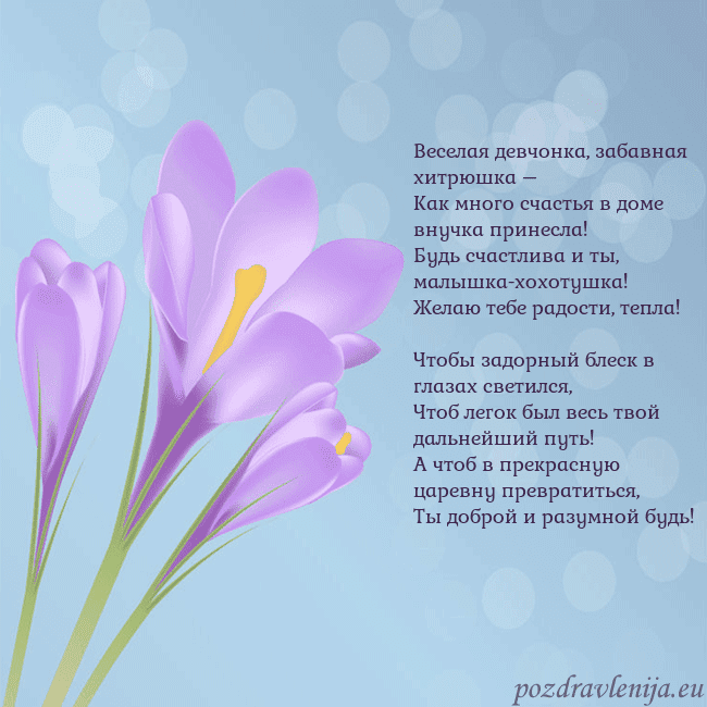 Открытка с крокусом