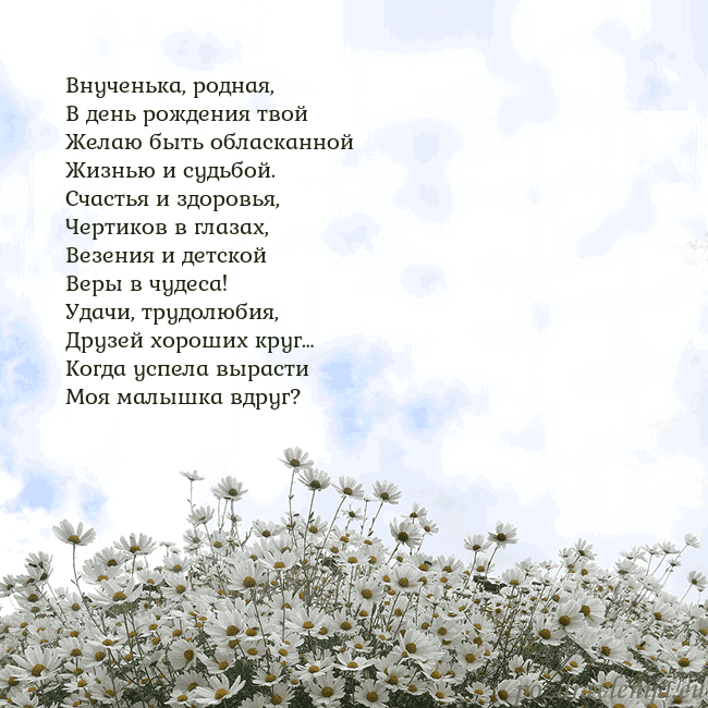 Открытка с ромашками