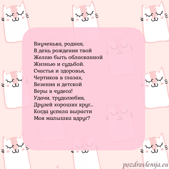 Розовая открытка с забавными кошками