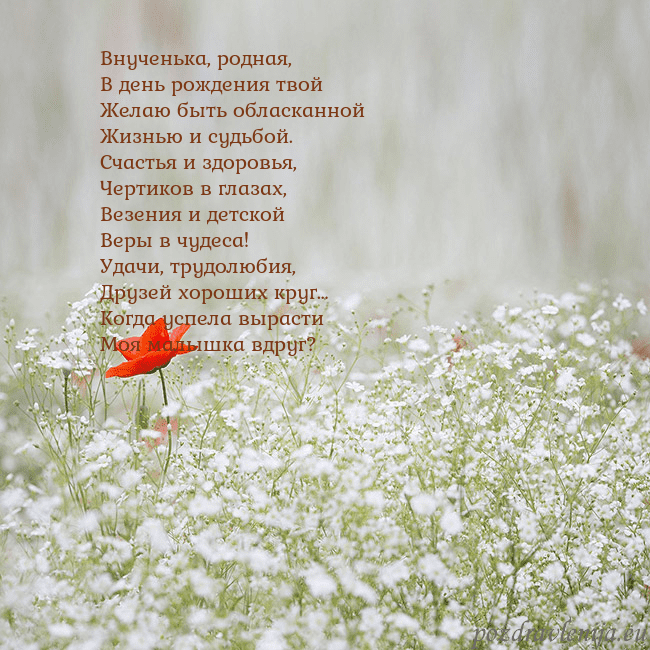 Электронная открытка с белыми цветами