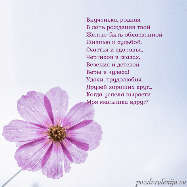 Электронная открытка с фиолетовым цветком