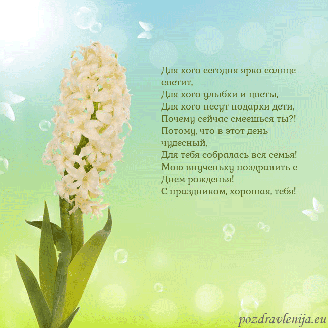 Открытка с гиацинтом