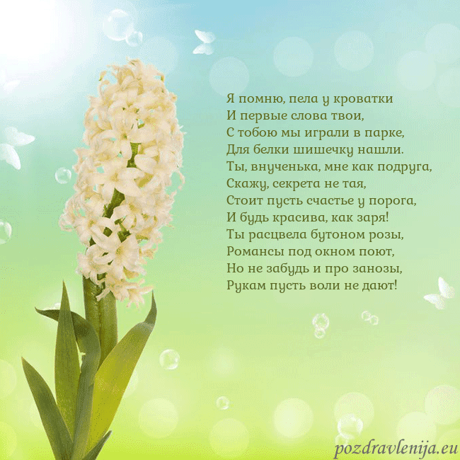 Открытка с гиацинтом