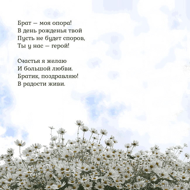 Открытка с ромашками