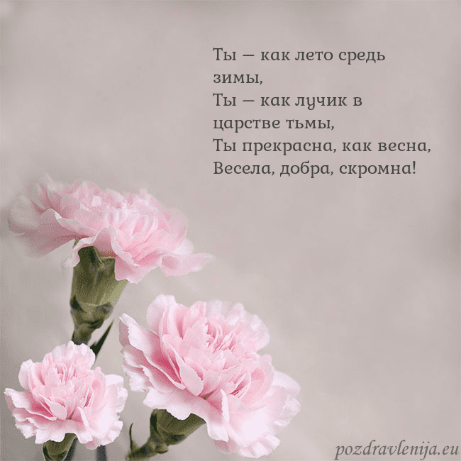 Открытка с розовыми гвоздиками