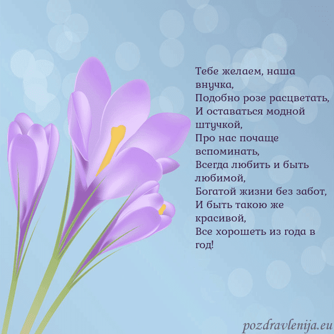 Открытка с крокусом