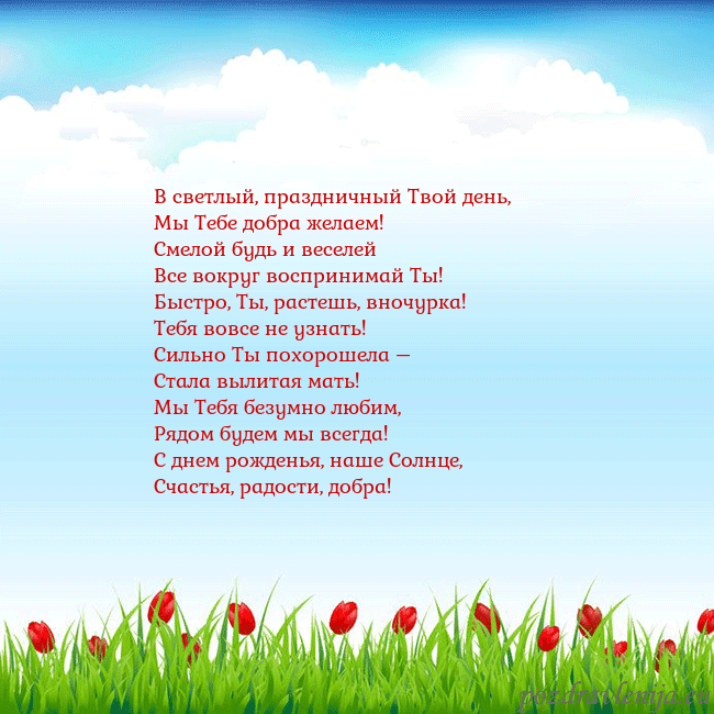 Открытка с тюльпанами