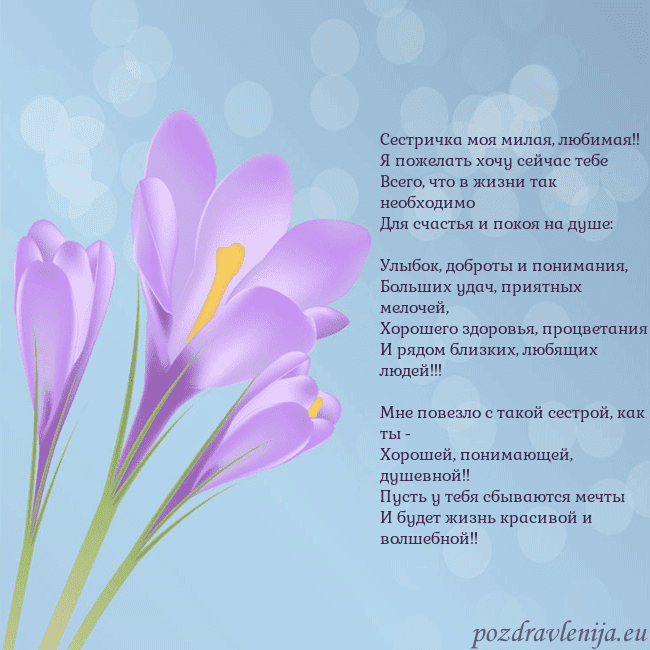 Открытка с крокусом