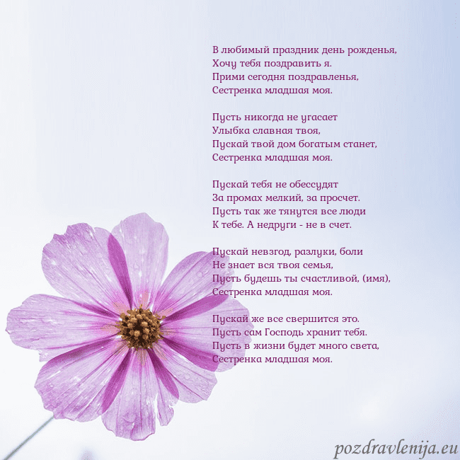 Электронная открытка с фиолетовым цветком В любимый праздник день рожденья,
Хочу тебя поздра Электронная открытка с фиолетовым цветком