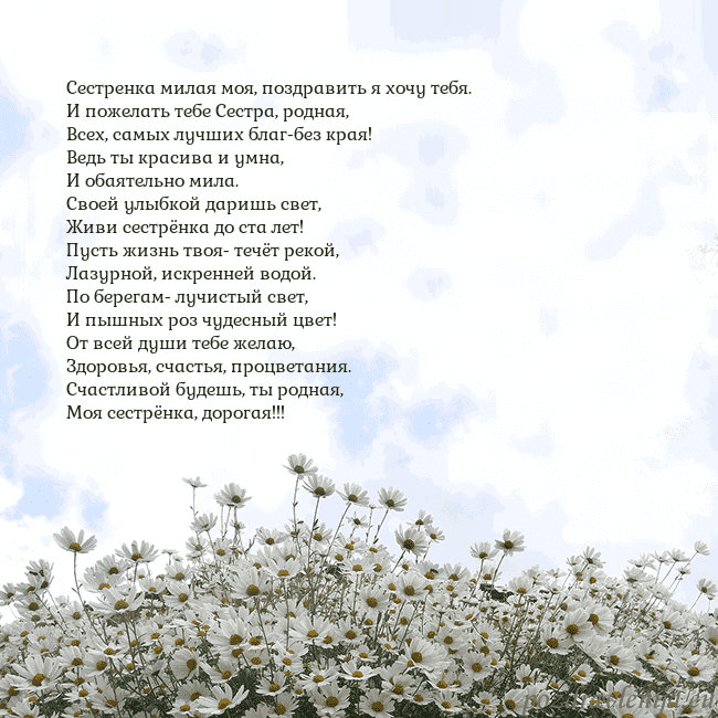 Открытка с ромашками