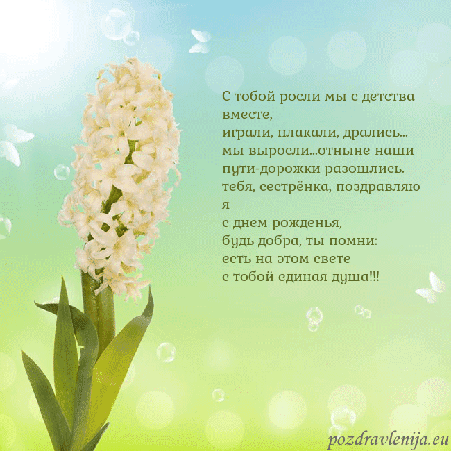 Открытка с гиацинтом