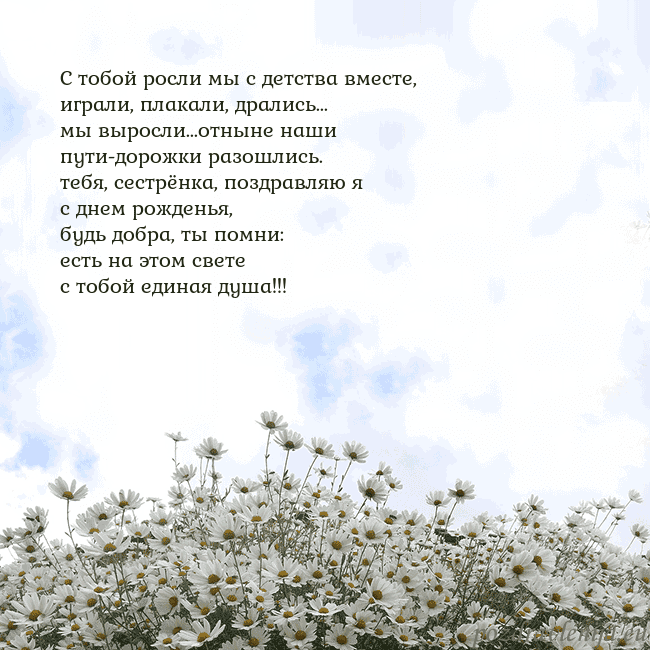 Открытка с ромашками