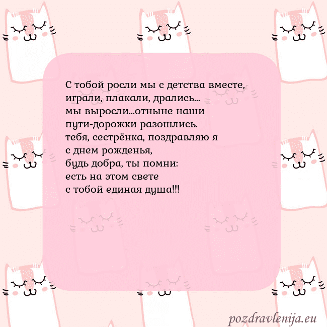 Розовая открытка с забавными кошками