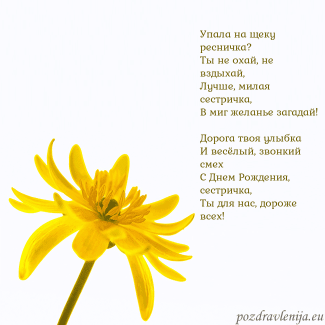 Открытка с желтым цветком