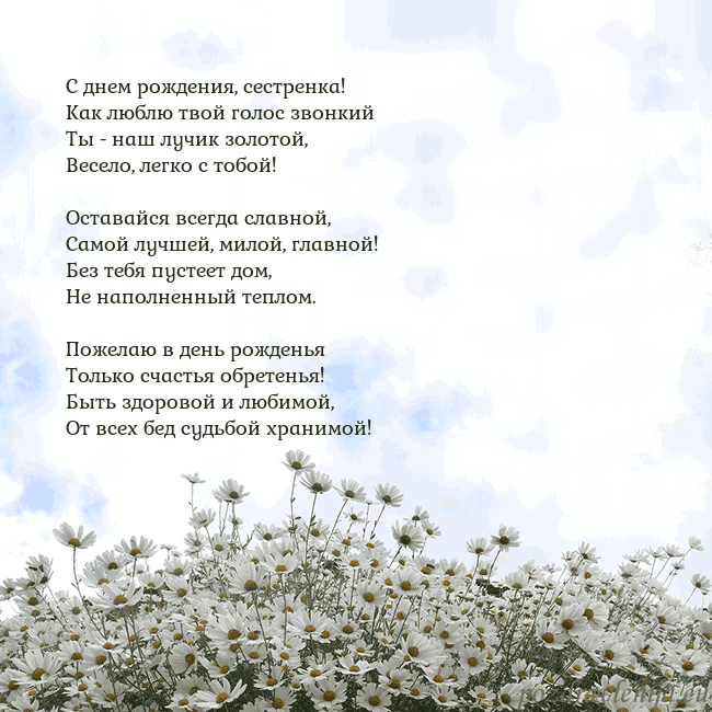 Открытка с ромашками