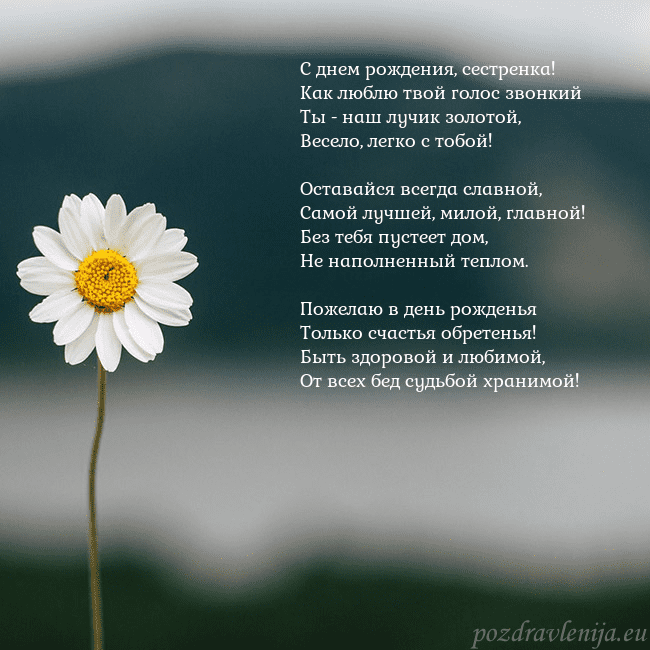 Электронная открытка с ромашкой