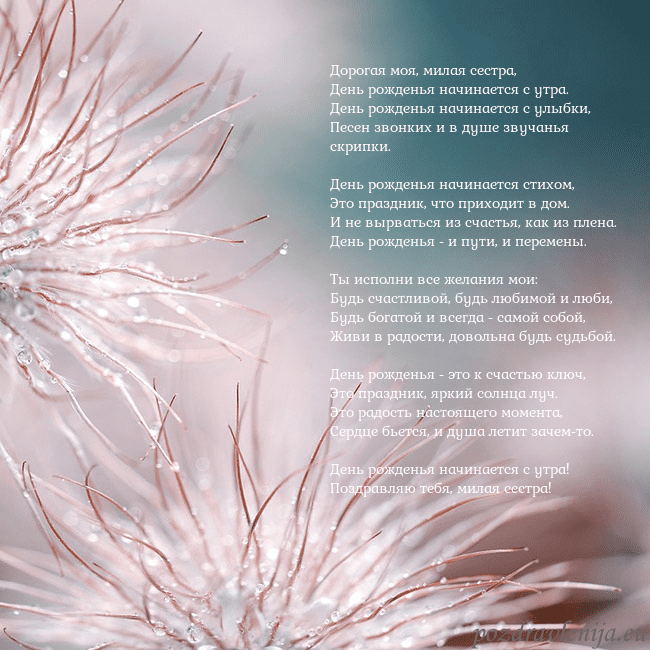 Открытка с пушистыми растениями Дорогая моя, милая сестра,
День рожденья начинаетс Открытка с пушистыми растениями
