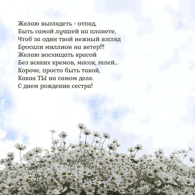 Открытка с ромашками