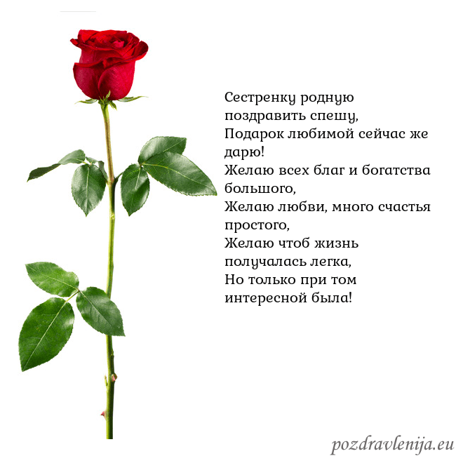 Открытка с красной розой