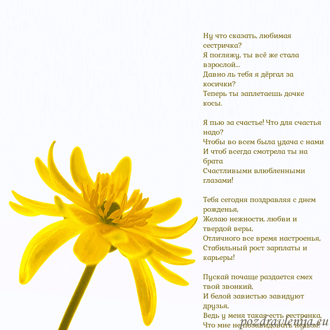 Открытка с желтым цветком Ну что сказать, любимая сестричка?
Я погляжу, ты в Открытка с желтым цветком