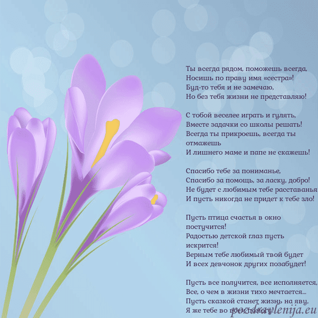 Открытка с крокусом