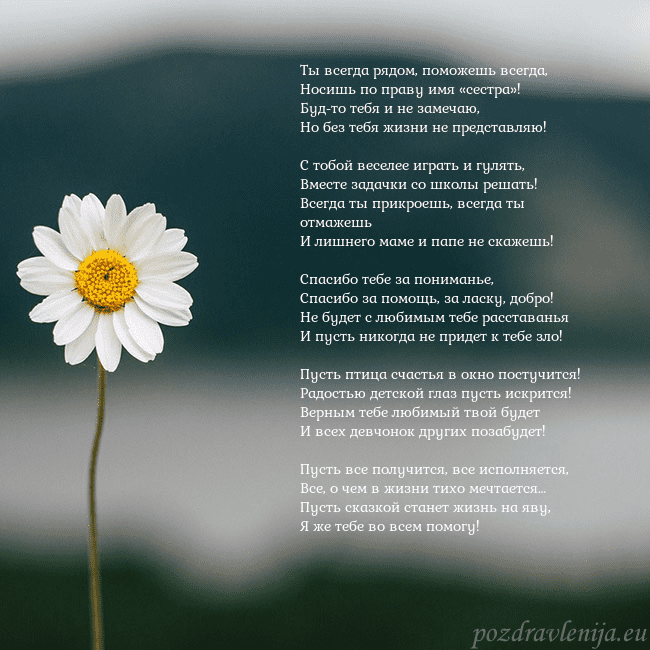 Электронная открытка с ромашкой Ты всегда рядом, поможешь всегда,
Носишь по праву Электронная открытка с ромашкой