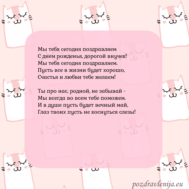 Розовая открытка с забавными кошками