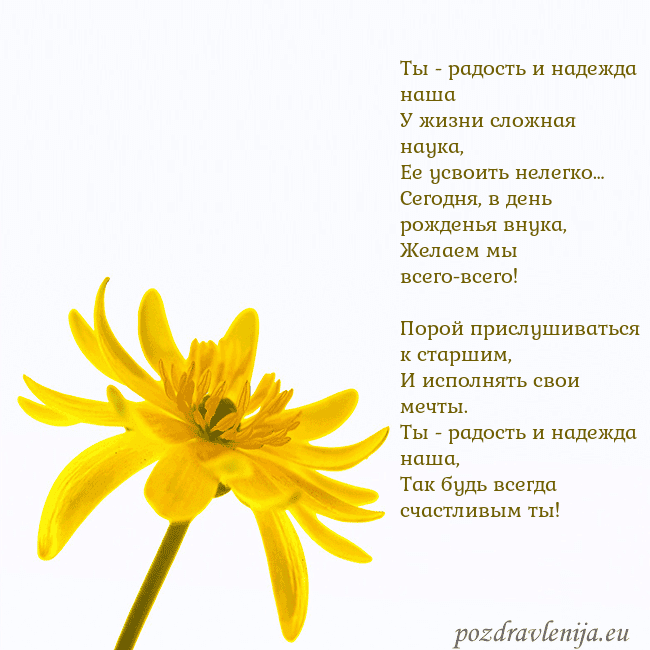 Открытка с желтым цветком