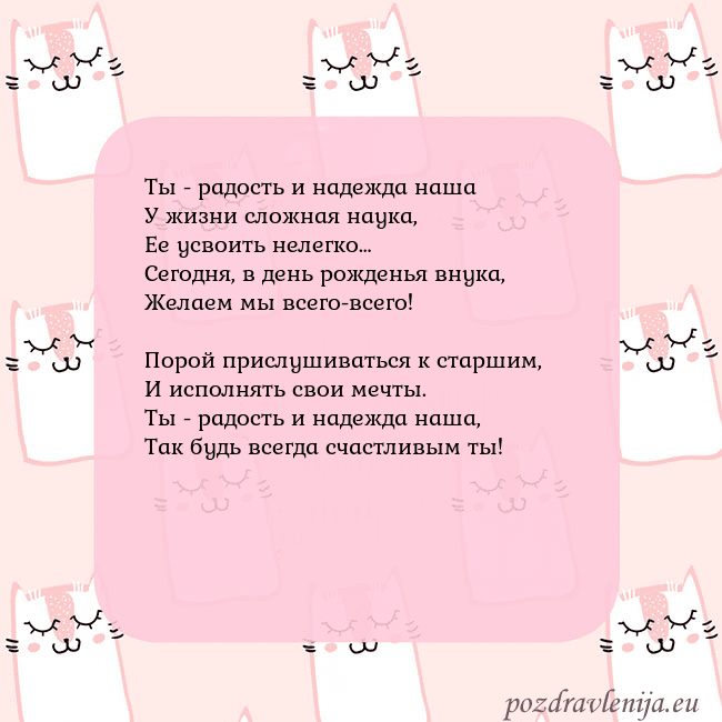 Розовая открытка с забавными кошками