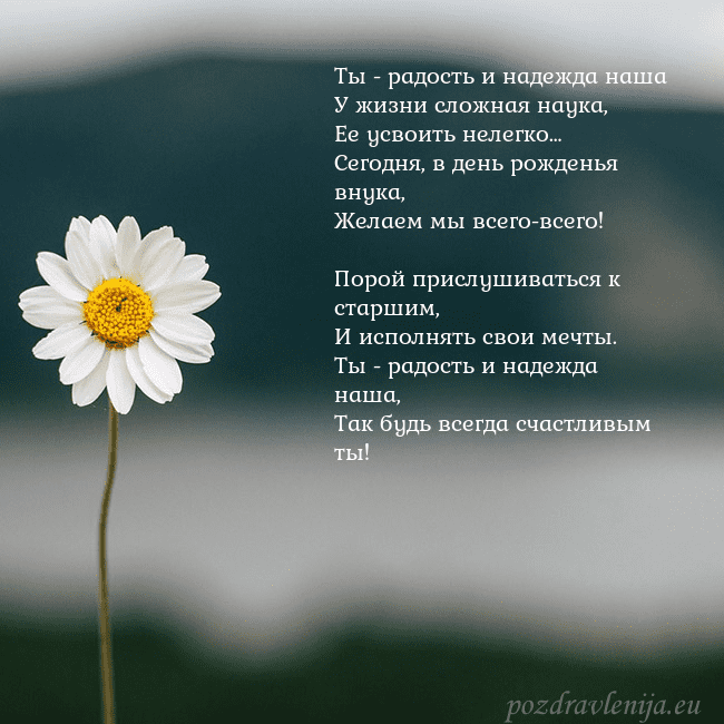 Электронная открытка с ромашкой