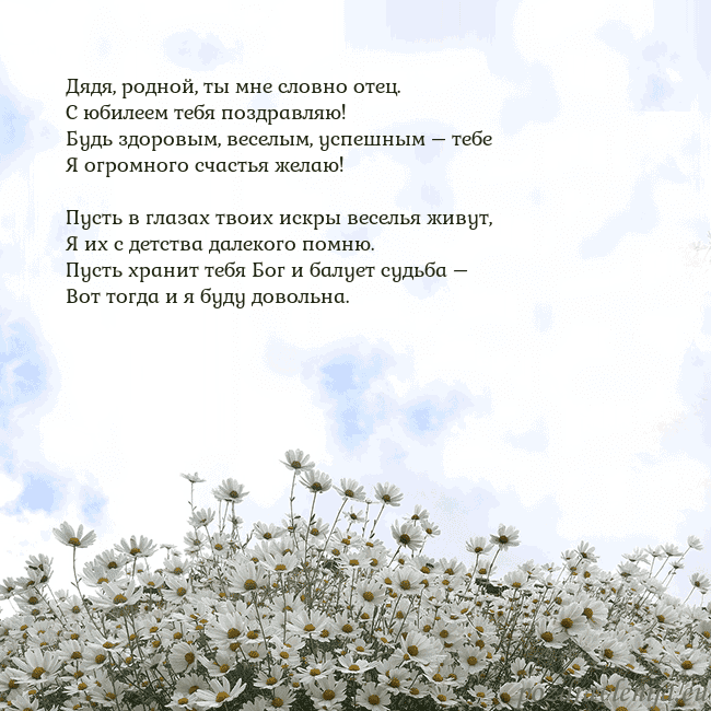 Открытка с ромашками